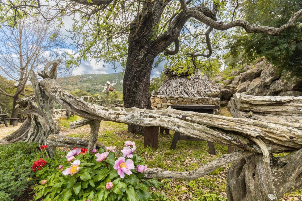 Il Rifugio Guest House Baunei Exterior photo